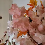 La Maison De Rose بيت للعطل توري