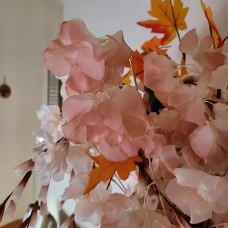 La Maison De Rose Casa de Férias Turi