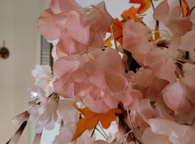 La Maison De Rose Holiday home Turi